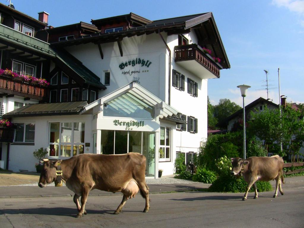 Hôtel Bergidyll Freibergstraße 17 87561 Oberstdorf