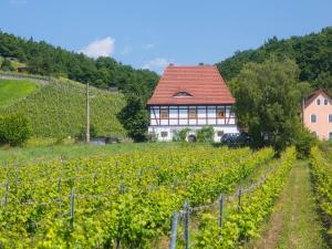 Börse Coswig