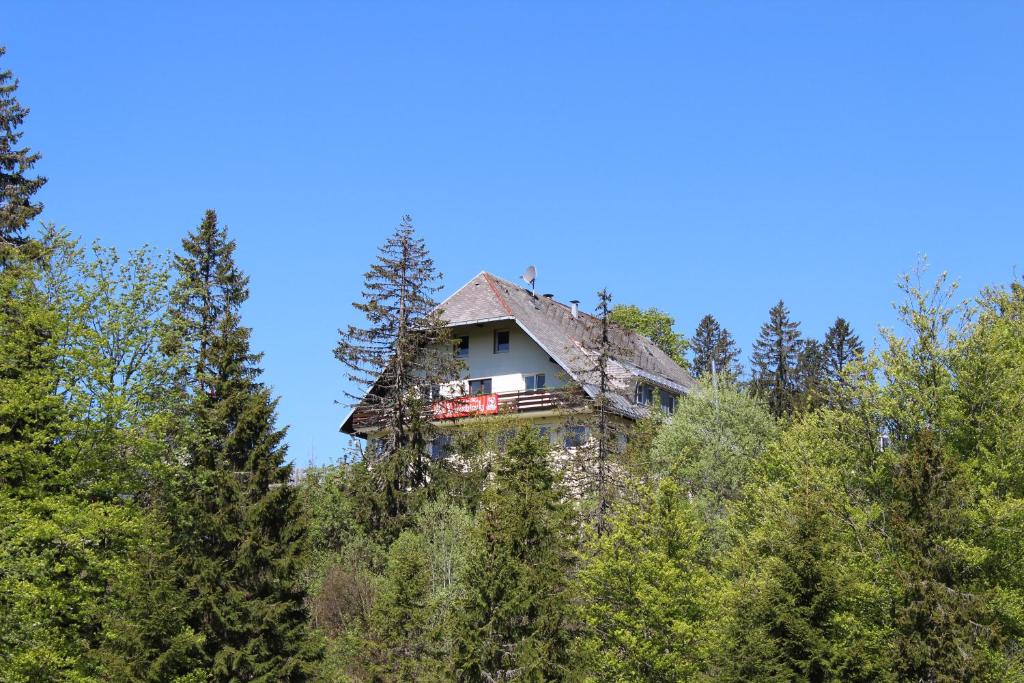 Boutique Hotel Kokoschinski August-Euler-Platz 1, 79868 Feldberg