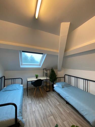 Capsule Valenciennes