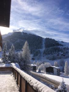 Chalet-Hôtel du Borderan