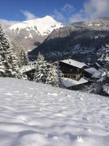 Chalet-Hotel Starlight