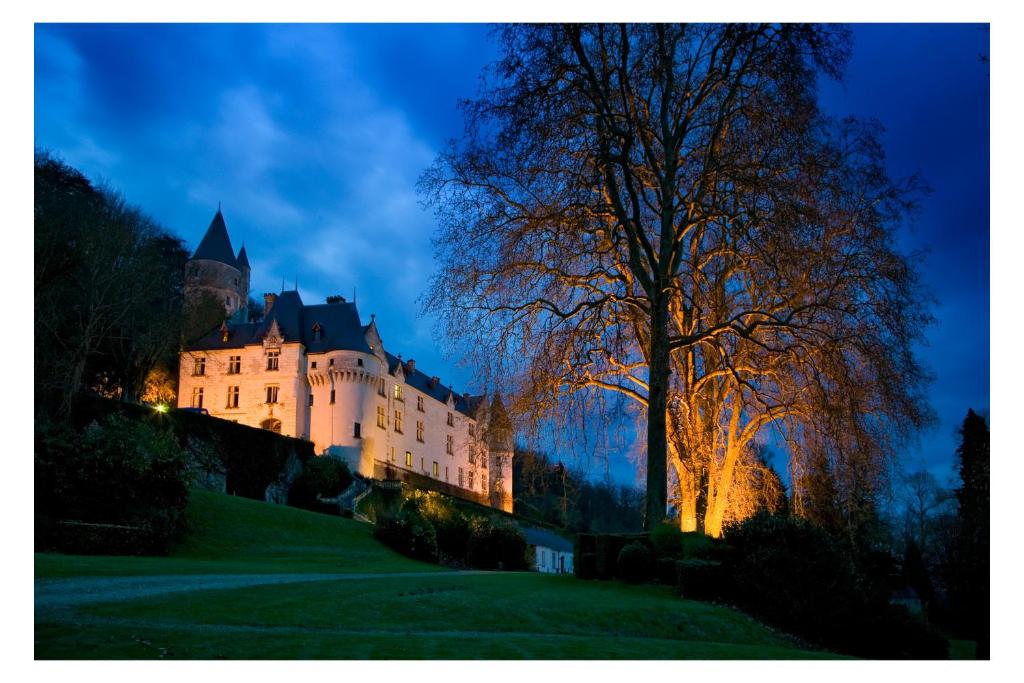 Hôtel Chateau de Chissay 1 à 3 Place Paul Boncour 41400 Chissay-en-Touraine