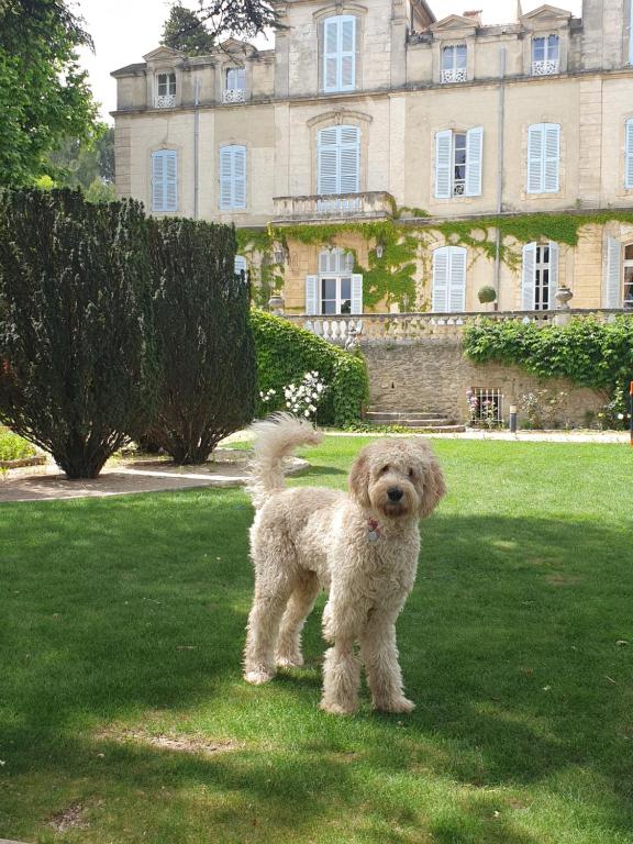 Hôtel Chateau de Varenne Rue Roger Martin du Gard 30150 Sauveterre