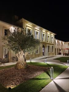 Château Fage - La Maison des Vignes - Groupe LES COLLECTIONNEURS