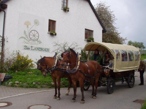 Hotel Das Landhaus Höchenschwand allemagne