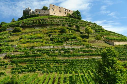 Hotel der Löwen in Staufen Staufen-en-Brisgau allemagne