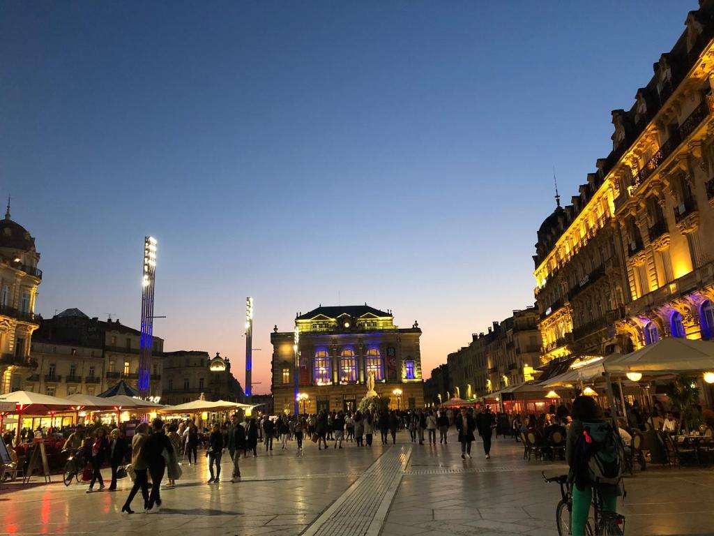 Hôtel Hotel des Etuves 24 rue des étuves, 34000 Montpellier