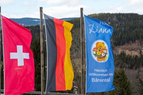 Hôtel Hotel Diana Panoramaweg 11 Feldberg