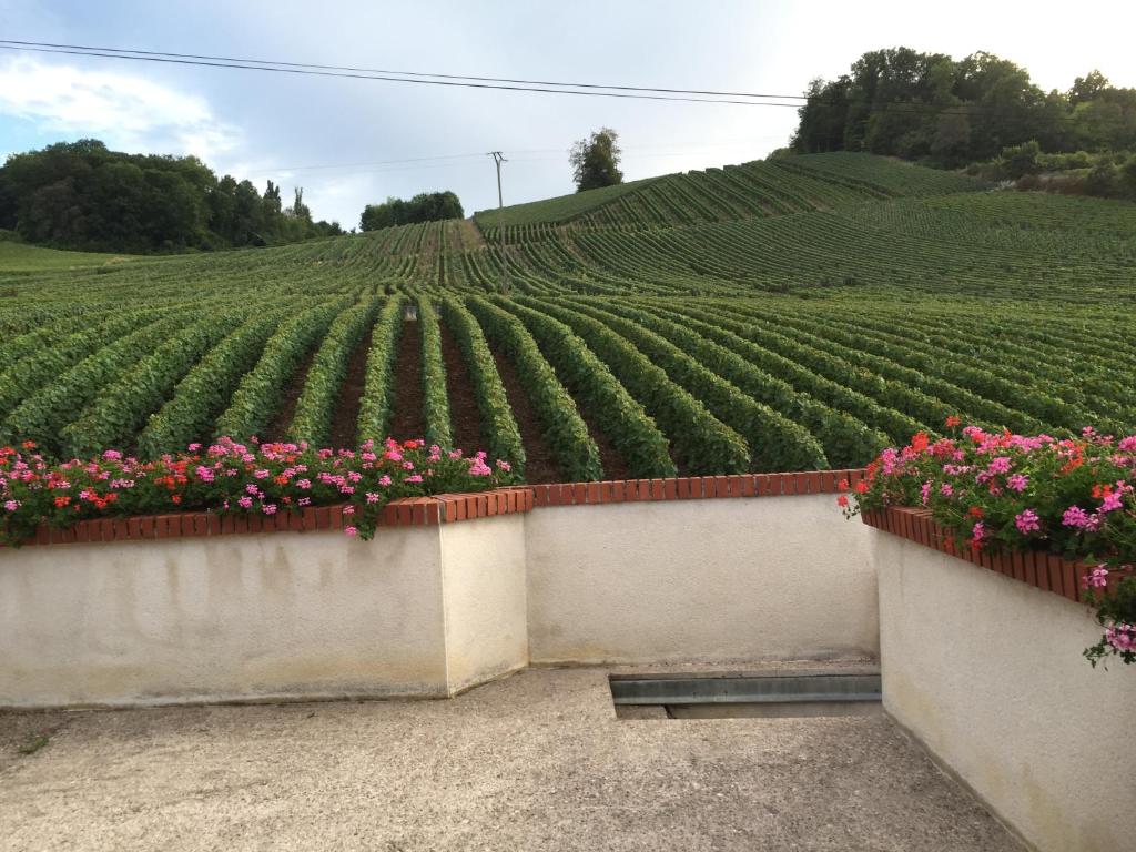 Domaine de Roullet 16440 Roullet-Saint-Estèphe