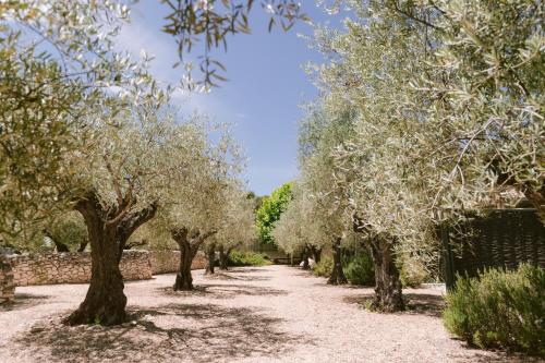 Domaine la Pierre Blanche