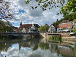 Domizil Tübingen