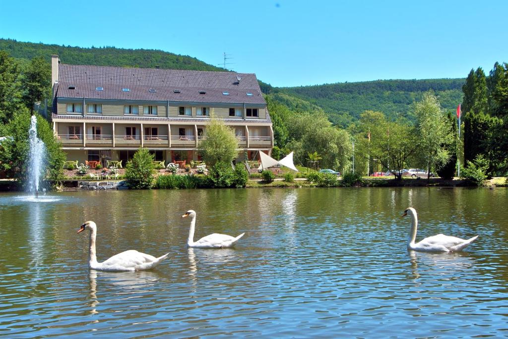 Hôtel Hotel Du Lac 244 Rue De La Republique, 68500 Guebwiller