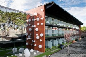 Evidencia Belverde Hotel