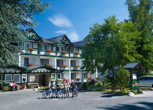 Hôtel Hotel & Ferienappartements Edelweiss Am Dicken Stein 6a Willingen