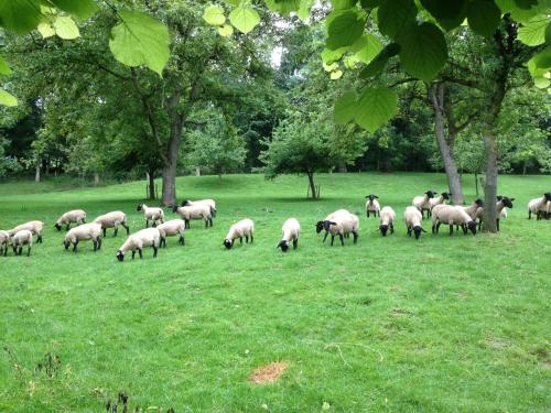 Ferme Des Chartroux