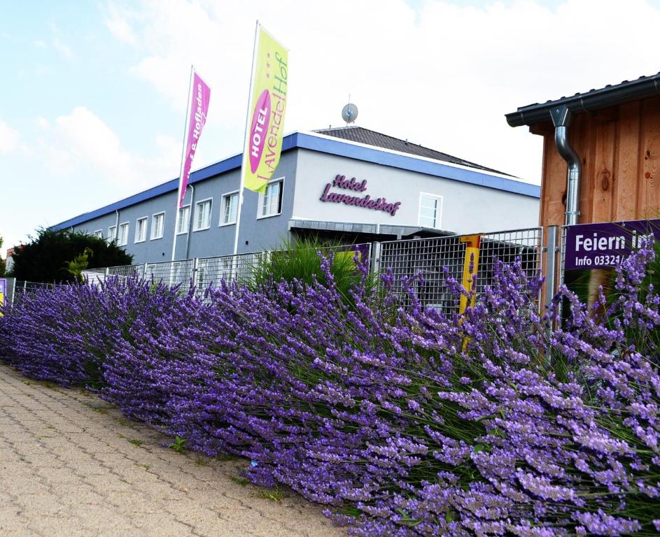 Hôtel Garni Hotel Lavendelhof Am Schlangenhorst 21 14641 Nauen