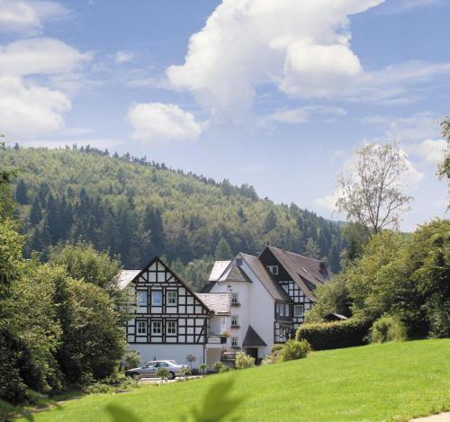 Hotel & Gasthof Hubertushöhe - Ihr Hotel für Urlaub mit Hund Schmallenberg allemagne