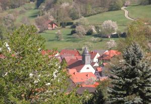 Hôtel Gasthof-Landhotel-Metzgerei Zum Stern Hauptstraße 41 63924 Rüdenau Bavière
