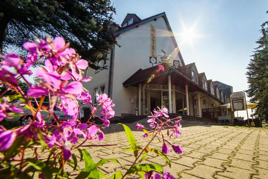 Hôtel Hotel Gasthof zur Heinzebank An der Heinzebank 2, 09429 Wolkenstein