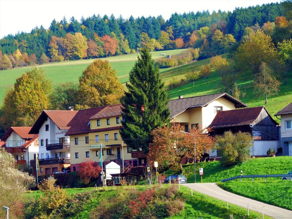 Hôtel Hotel Gasthof Zur Krone Neckartalstraße 34, 64743 Beerfelden