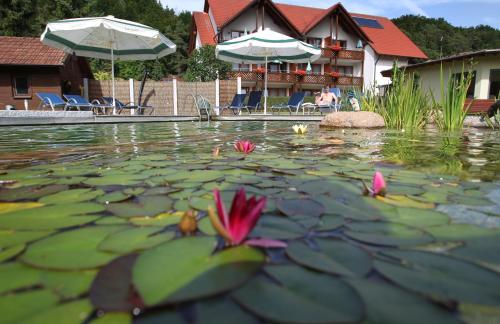 Hôtel Hotel & Gasthof Zur Linde Bachweg 2 Kipfenberg