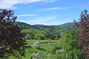 Hôtel Genusshotel Hirschen - Erholung im Grünen (Südschwarzwald) Wieser Straße 7 79692 Sallneck Bade-Wurtemberg