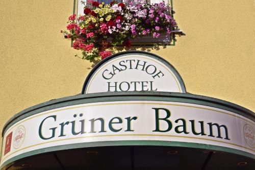 Hotel Grüner Baum Naila allemagne