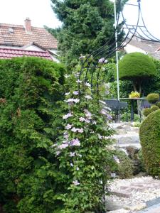 Haus Anna an der Stadtmauer