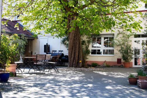 Hôtel Hotel Herberge zur Traube Hauptstraße 1 Bad Wimpfen