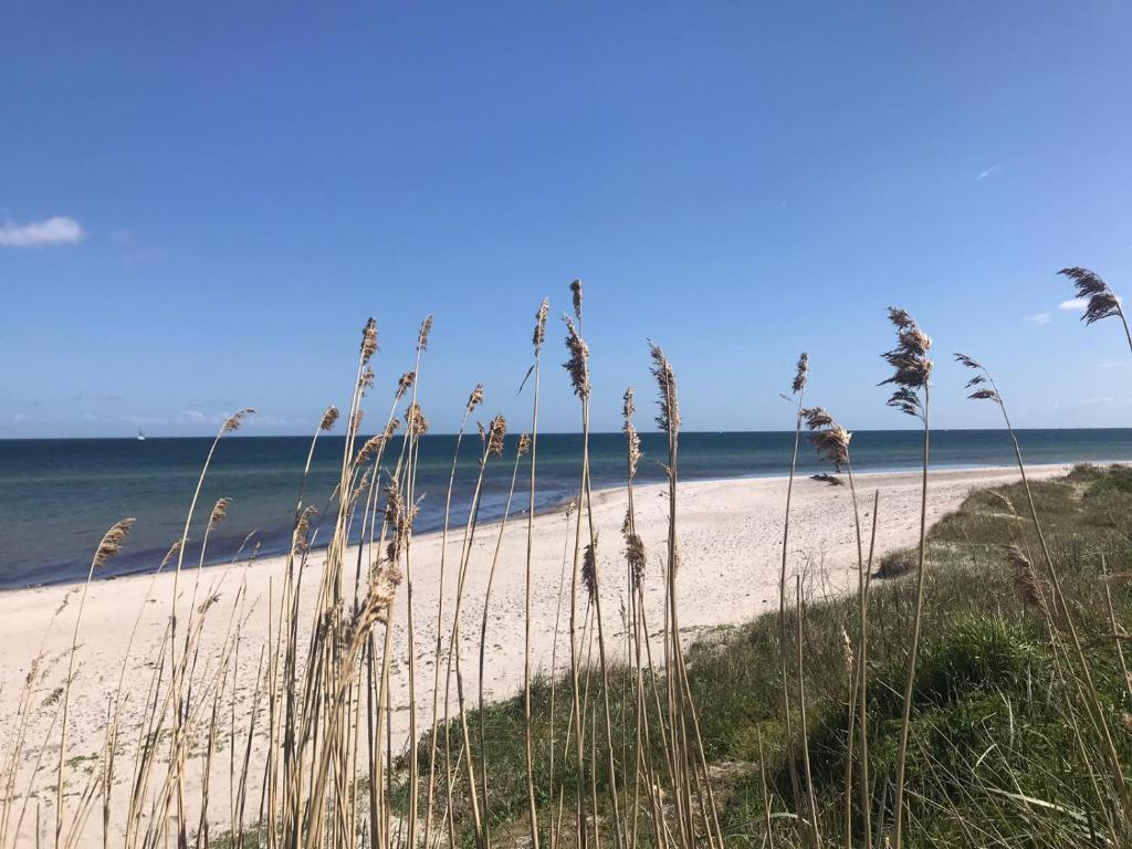 Hof Norderlück - Das Ostseehotel unter Reet Steinberghaff 16, 24972 Steinberg