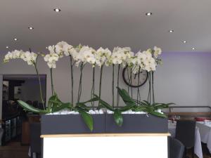 Hostellerie Normande