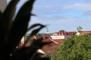 Hotel Albena - garni Hotel