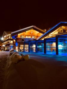 Hôtel Hotel Alpina 672, Les Bois Venants 74110 Morzine Rhône-Alpes