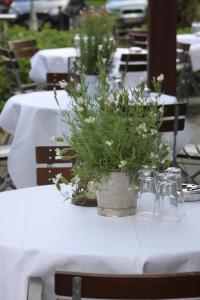 Hotel Alster Au