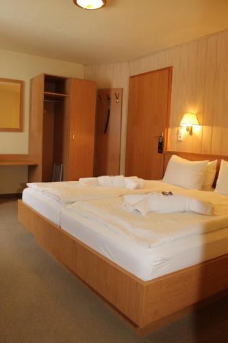 Hotel am Berg Oybin garni