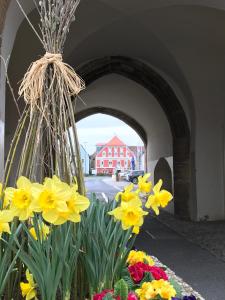 Hôtel Hotel Angerer Marktplatz 4 92249 Vilseck Bavière