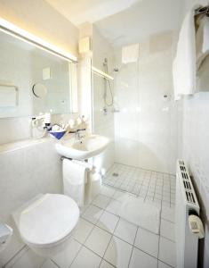 Hôtel Hotel Bavaria Brehna Otto Lilienthal Strasse 6 06796 Brehna Saxe-Anhalt