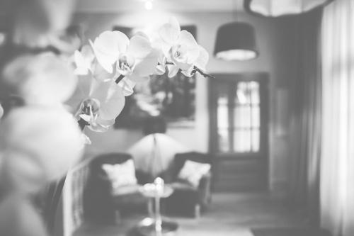 Hotel Bellini