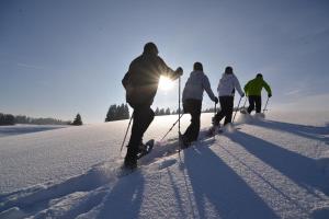 Hôtel Hotel Bergblick Am Brunnenbühl 12 88175 Scheidegg Bavière