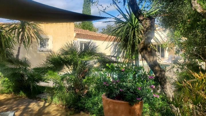 Hotel Caroline Mathilde 29223 Celle
