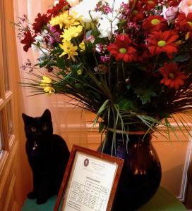 Hôtel Chopin