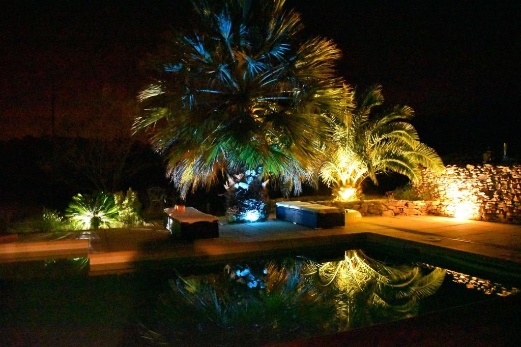 Hotel Daun
