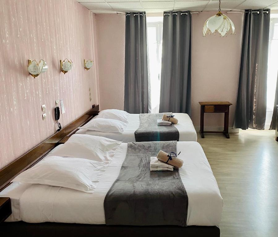 Hôtel des Alpes 11 Rue de Chambéry, 73100 Aix-les-Bains