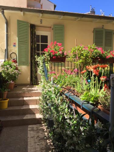 Hotel des Dames