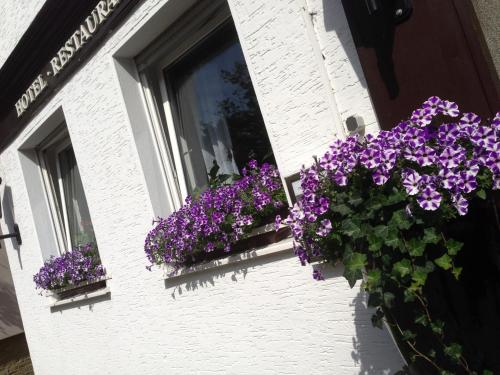 Hotel Domhof