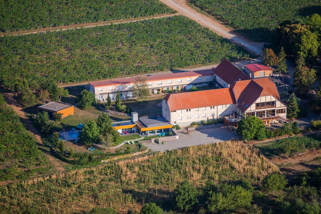 Hôtel du Bollenberg - Restaurant \ Domaine Du Bollenberg, 68250 Westhalten