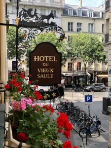 Hôtel Du Vieux Saule