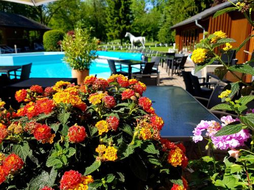 Hotel Eifelsteig