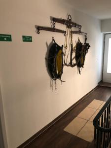 Hotel Einstein